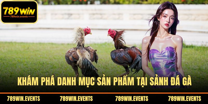 Khám phá danh mục sản phẩm tại sảnh đá gà